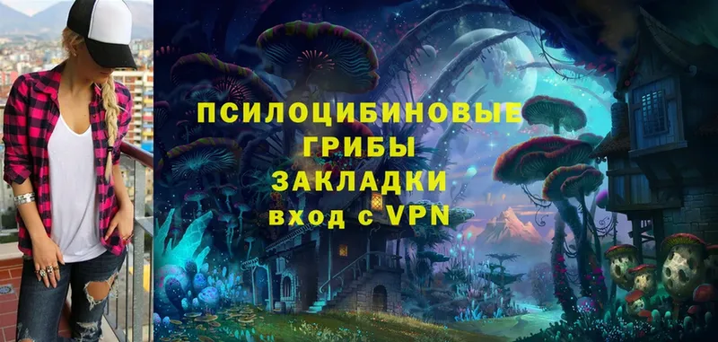 наркошоп  Копейск  Псилоцибиновые грибы Psilocybe 